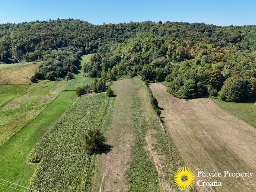 dji_fly_20250826_123806_0126_1756209131649_photo