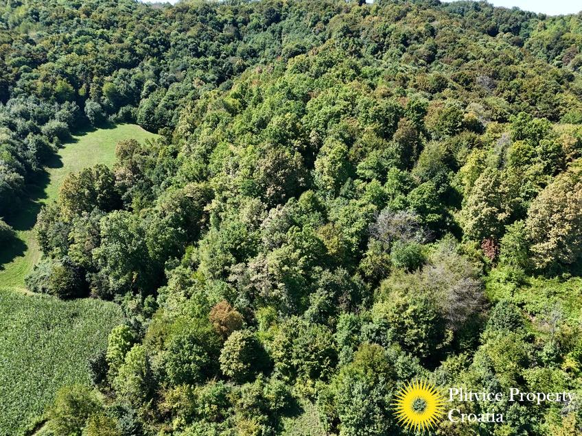 dji_fly_20250826_123824_0127_1756209131118_photo