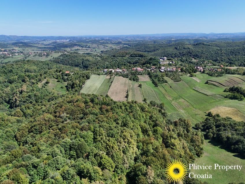 dji_fly_20250826_124040_0128_1756209130452_photo