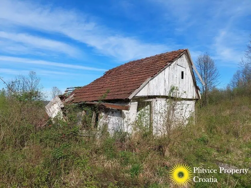 flow_img_20240404_165933_01_456