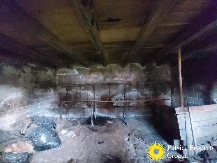 Flow_IMG_20241219_123502_01_421