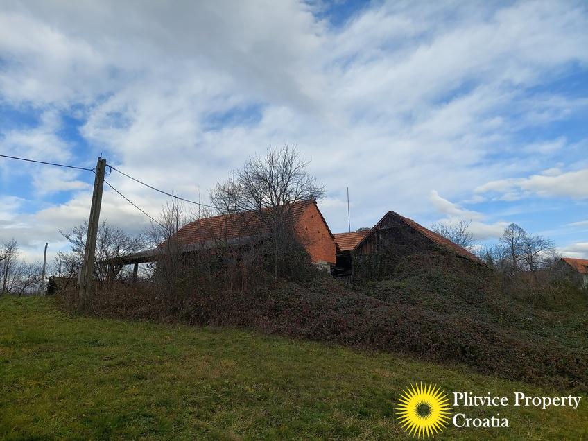 Flow_IMG_20241219_125130_01_426