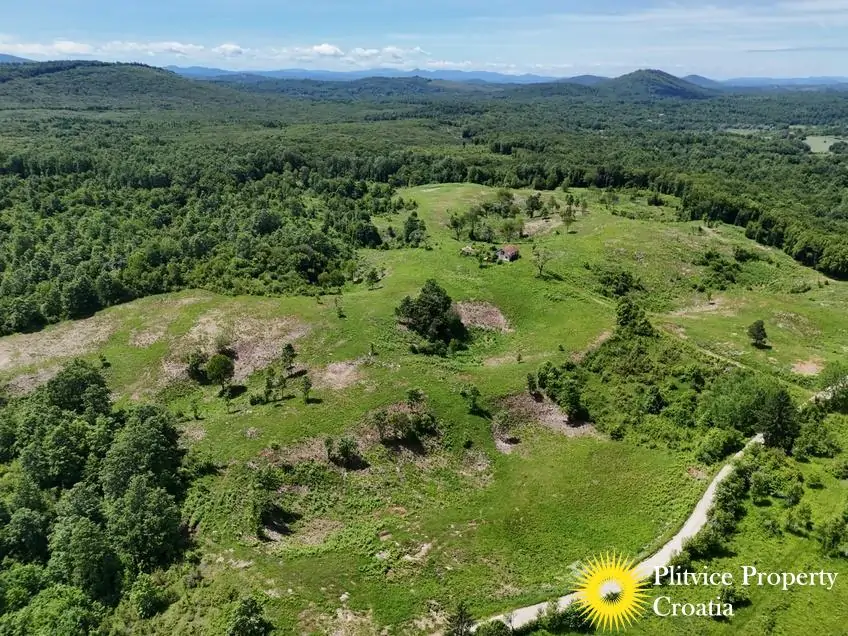 dji_fly_20250530_134642_0546_1748697560822_photo