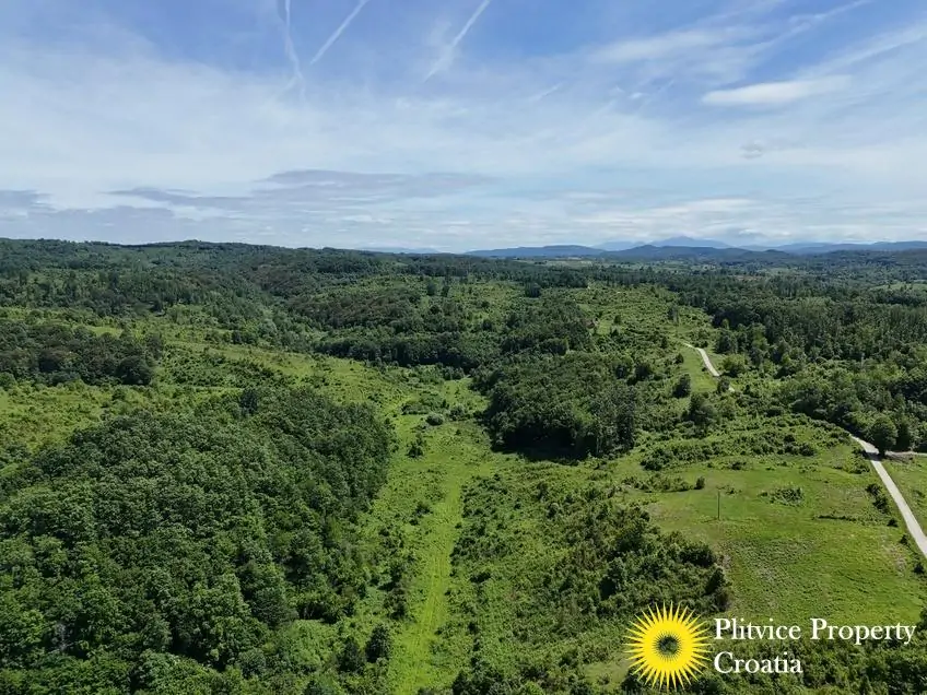 dji_fly_20250530_142626_0563_1748697548861_photo