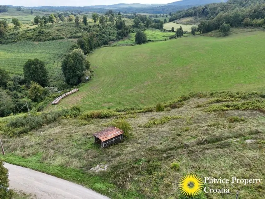 dji_fly_20250904_150952_0162_1757052516993_photo