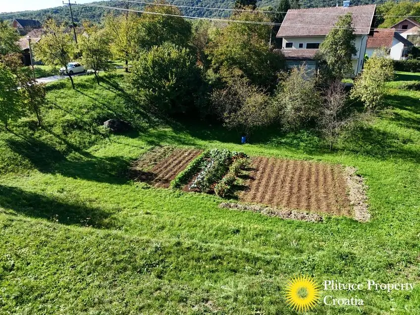 dji_fly_20250919_101320_0266_1758272025828_photo