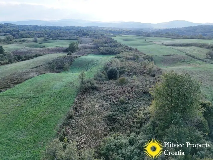 dji_fly_20251002_170606_0337_1759474970412_photo