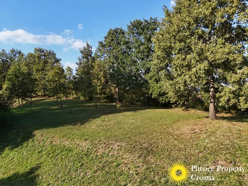 dji_fly_20251002_163930_0313_1759474991527_photo