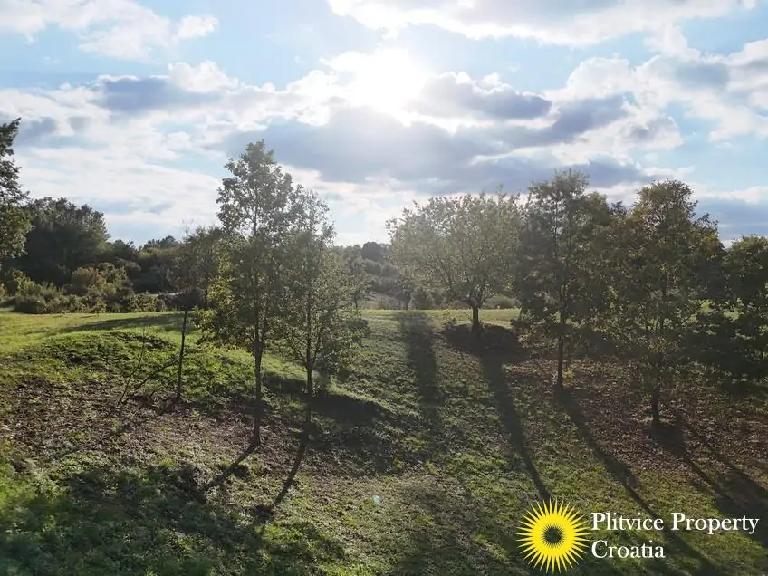 dji_fly_20251002_163938_0315_1759474990473_photo