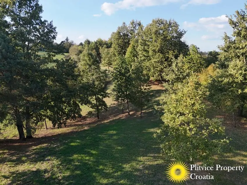 dji_fly_20251002_163948_0316_1759474990117_photo