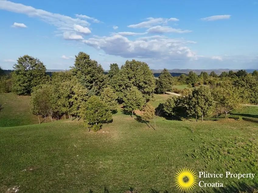 dji_fly_20251002_164016_0319_1759474988944_photo