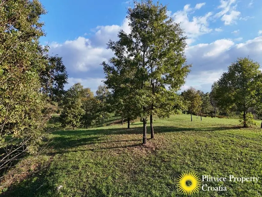 dji_fly_20251002_164058_0321_1759474988730_photo