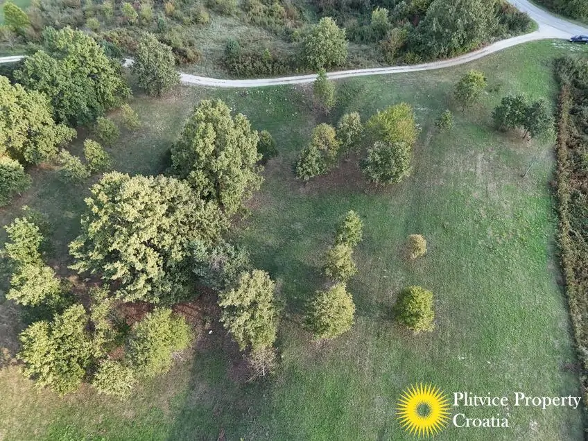 dji_fly_20251002_164236_0328_1759474984782_photo