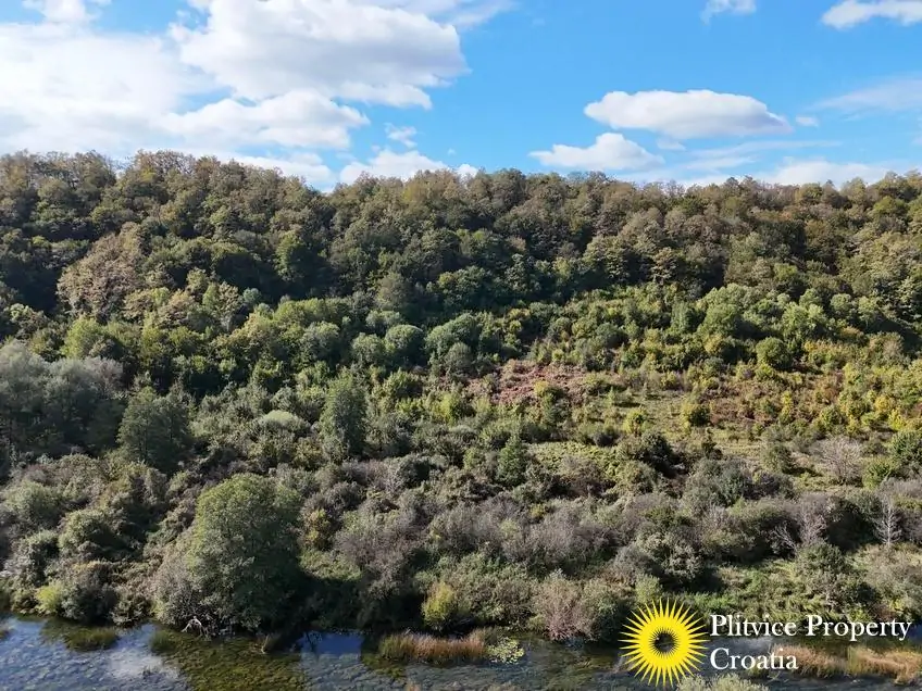 dji_fly_20251008_120920_0395_1759924580792_photo