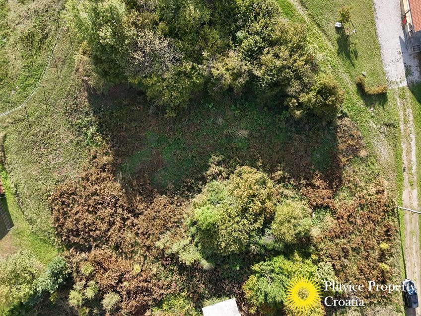 dji_fly_20251008_160424_0410_1759993448494_photo