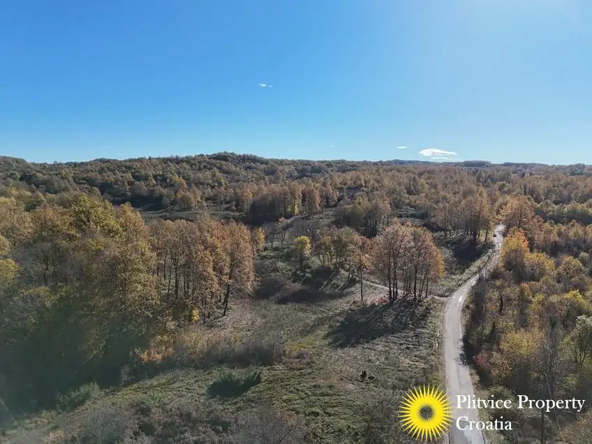 dji_fly_20251024_105616_0415_1761307809814_photo