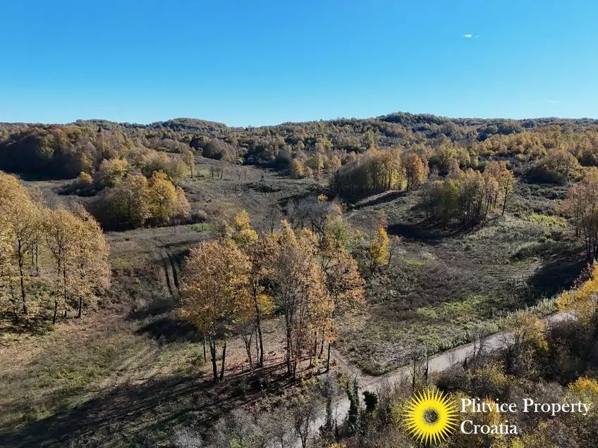 dji_fly_20251024_105636_0417_1761307809025_photo