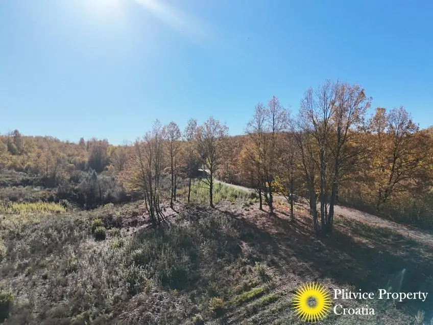 dji_fly_20251024_105706_0419_1761307808232_photo