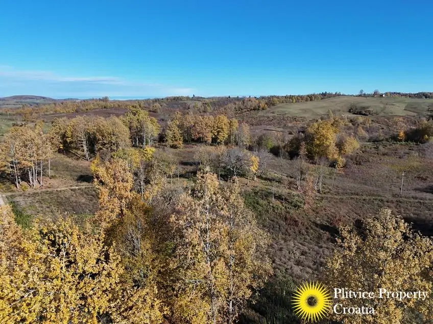 dji_fly_20251024_105754_0421_1761307807228_photo