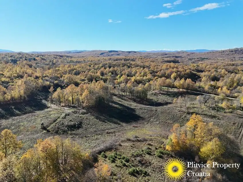 dji_fly_20251024_105916_0424_1761307805722_photo