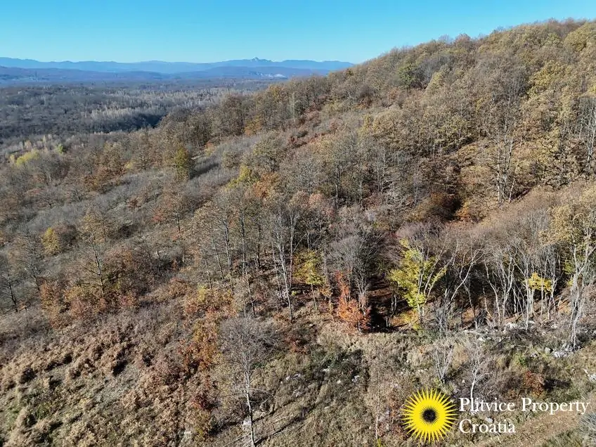 dji_fly_20251105_105220_0441_1762343694581_photo