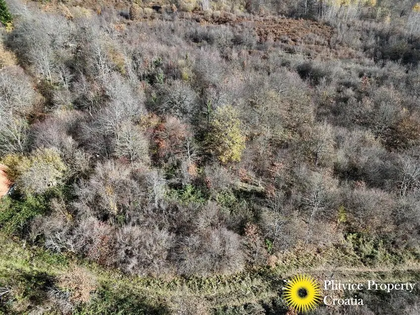 dji_fly_20251105_105336_0444_1762343692999_photo