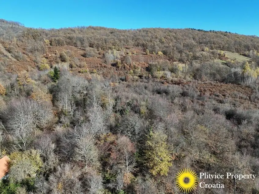 dji_fly_20251105_105352_0445_1762343692342_photo