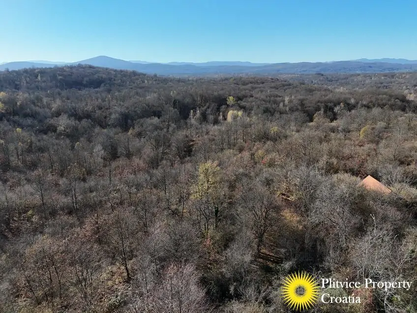 dji_fly_20251105_105448_0446_1762343691772_photo