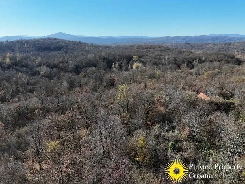 dji_fly_20251105_105452_0447_1762343691319_photo