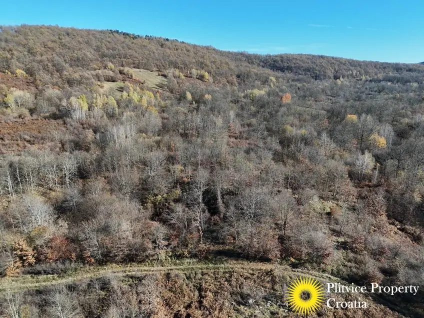 dji_fly_20251105_105648_0451_1762343689123_photo