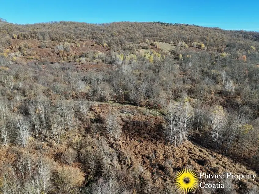 dji_fly_20251105_105712_0452_1762343688602_photo