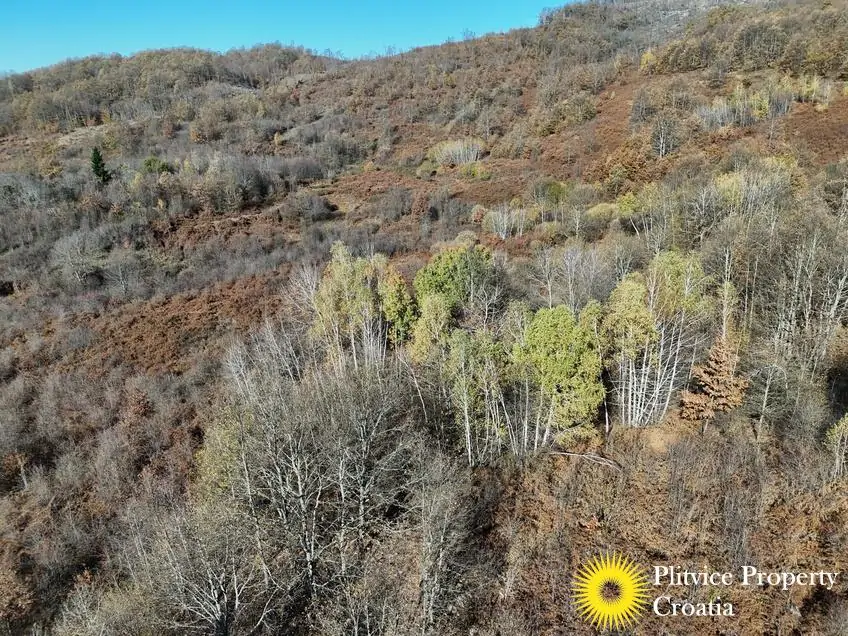 dji_fly_20251105_105830_0454_1762343687489_photo