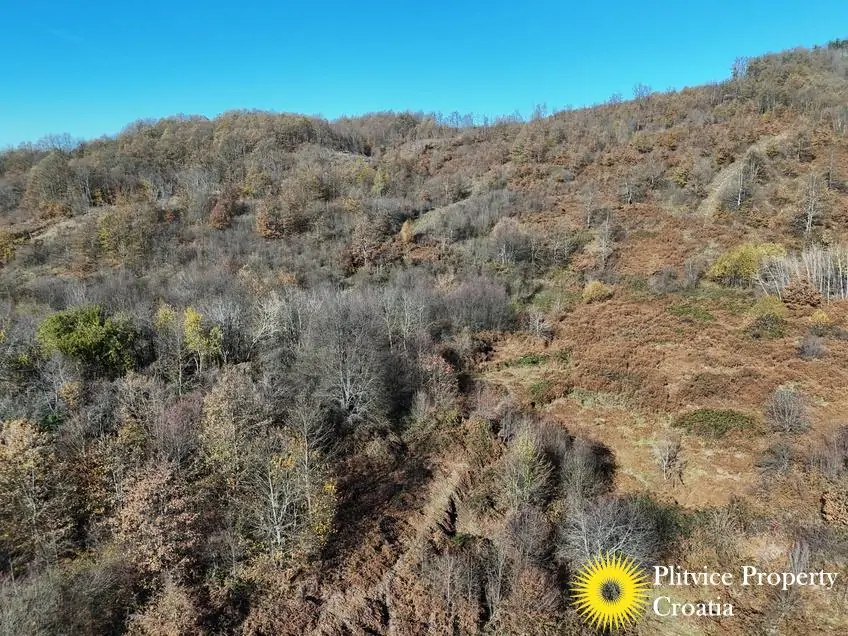 dji_fly_20251105_105914_0455_1762343686684_photo