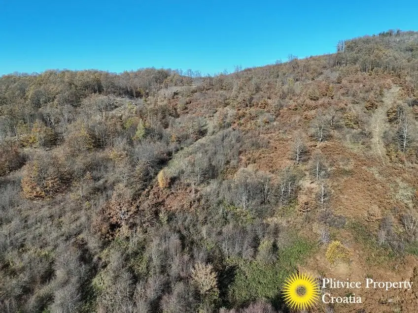 dji_fly_20251105_105932_0457_1762343684789_photo