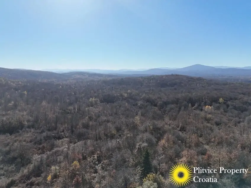 dji_fly_20251105_105942_0458_1762343684122_photo