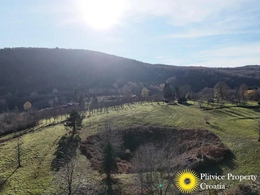 dji_fly_20251112_141438_0465_1763376352315_fotka