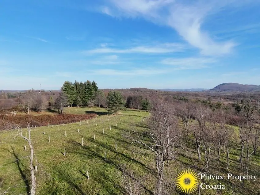 dji_fly_20251112_141602_0468_1763376350748_fotka