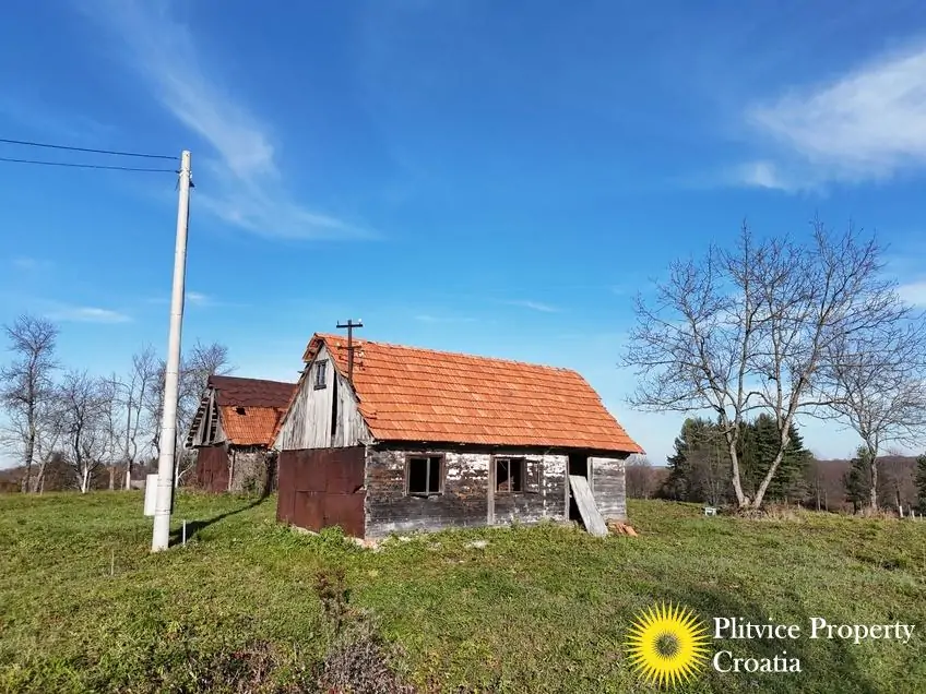 dji_fly_20251112_141632_0470_1763376349915_fotka