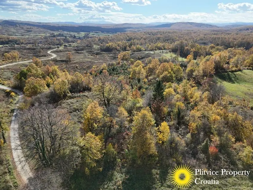 dji_fly_20251024_125042_0430_1761307777265_photo