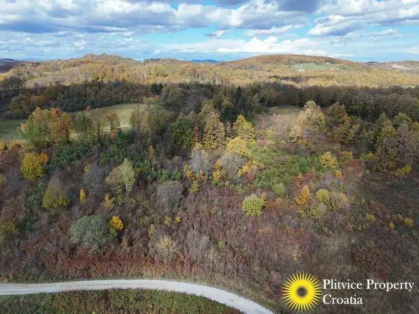 dji_fly_20251024_125204_0432_1761307776208_photo