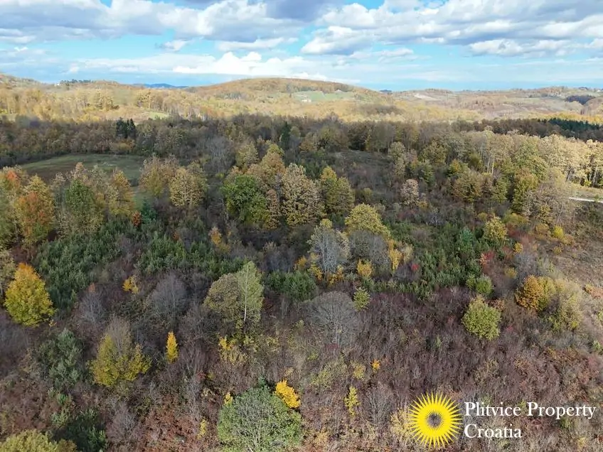 dji_fly_20251024_125222_0433_1761307775772_photo