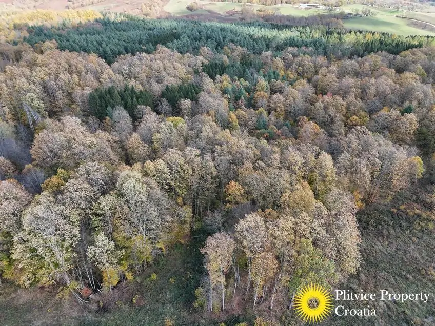 dji_fly_20251024_125258_0434_1761307775306_photo