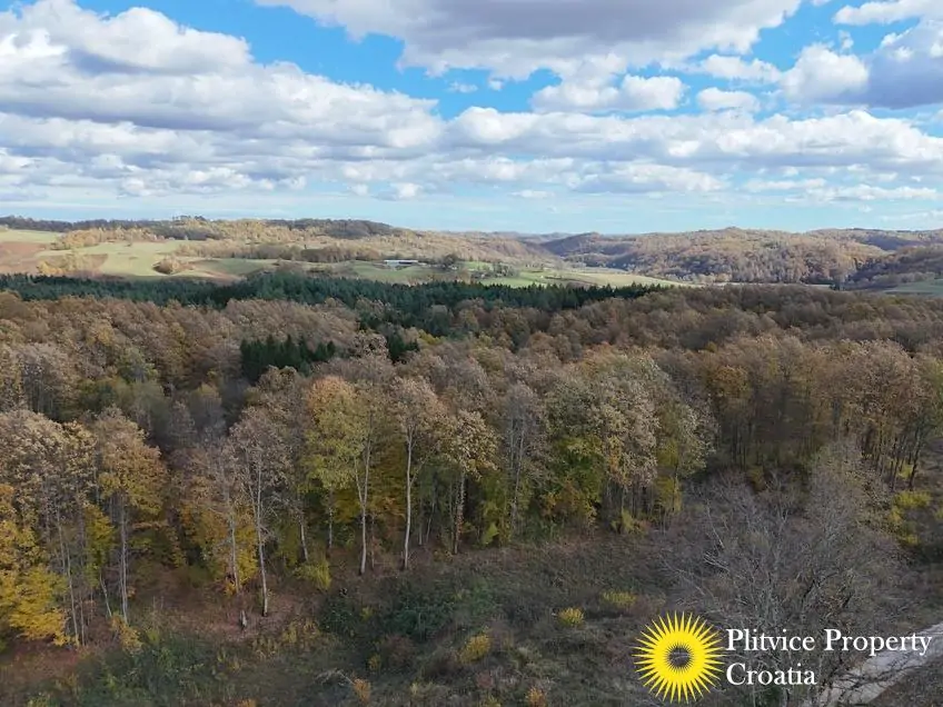 dji_fly_20251024_125328_0435_1761307774727_photo