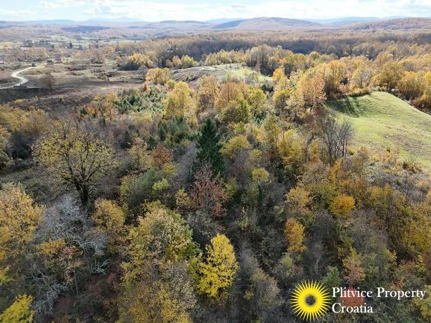 dji_fly_20251024_125334_0436_1761307774318_photo