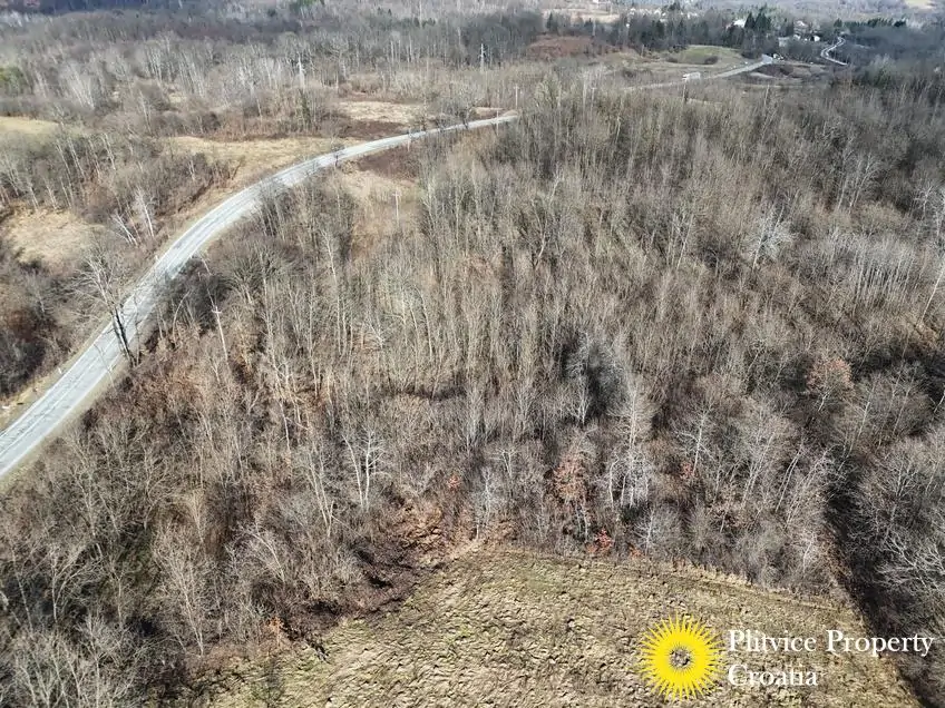 dji_fly_20260130_133600_0542_1770017852146_photo