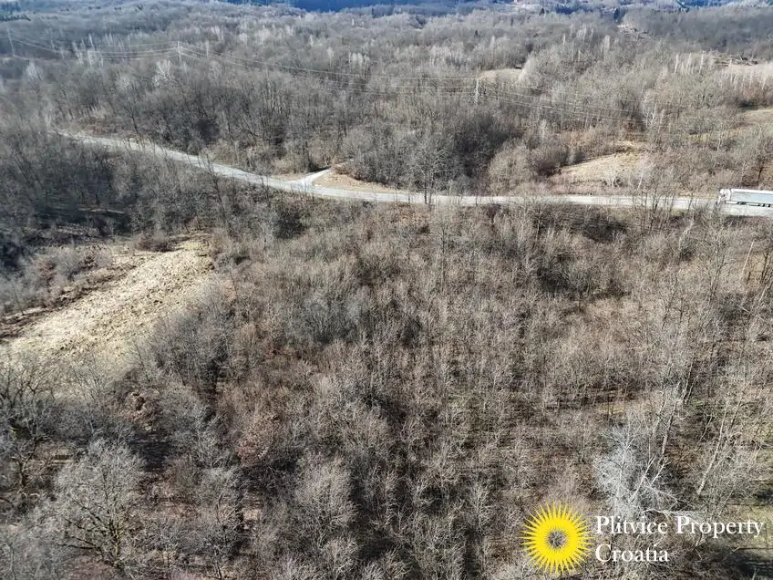 dji_fly_20260130_133622_0543_1770017851578_photo