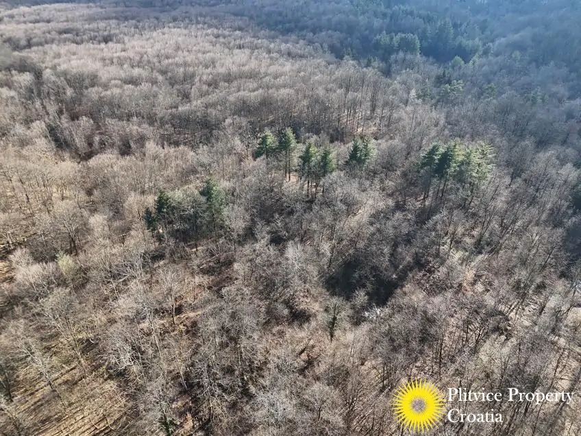 dji_fly_20260130_134002_0547_1770017849818_photo