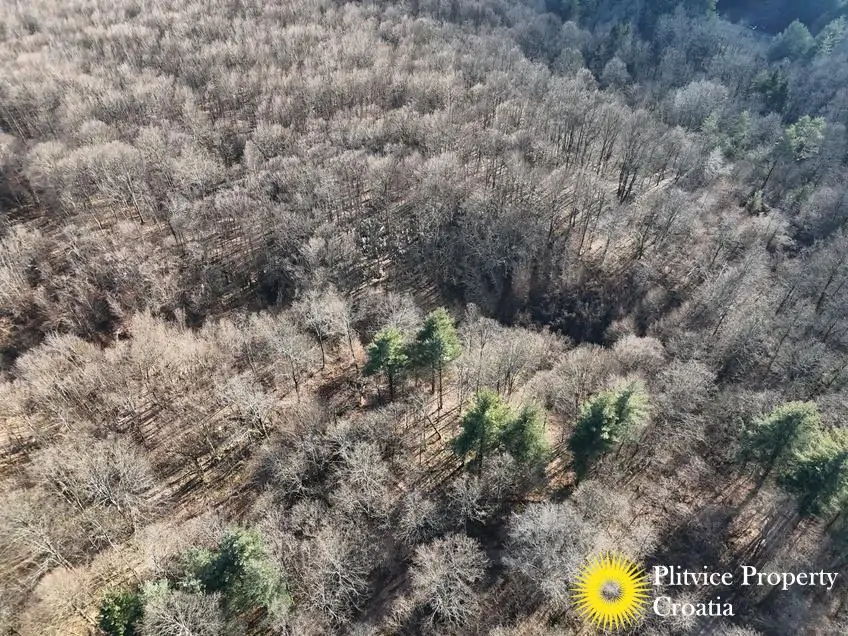 dji_fly_20260130_134016_0548_1770017849338_photo