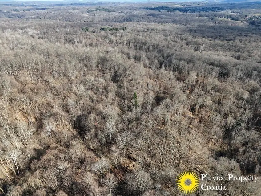 dji_fly_20260130_134034_0549_1770017848825_photo