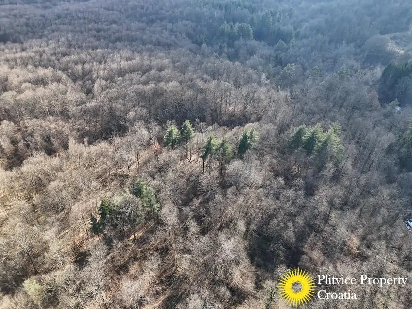 dji_fly_20260130_134054_0550_1770017848323_photo